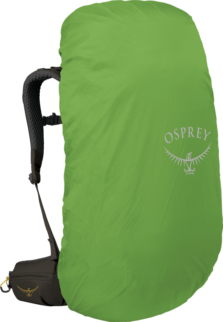 Osprey Men's Kestrel LT 65 Moss Green Osprey