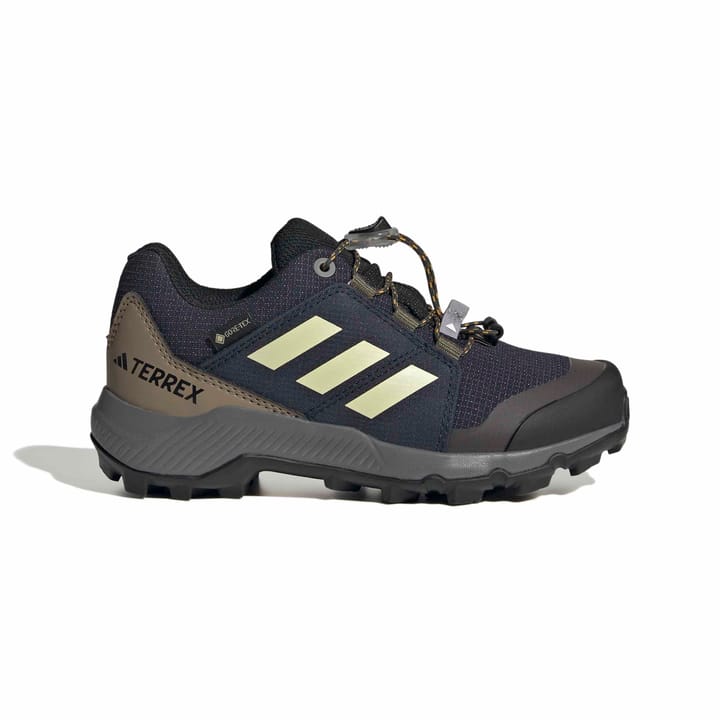 Adidas Terrex Gtx K Legink/duayel/olistr Adidas