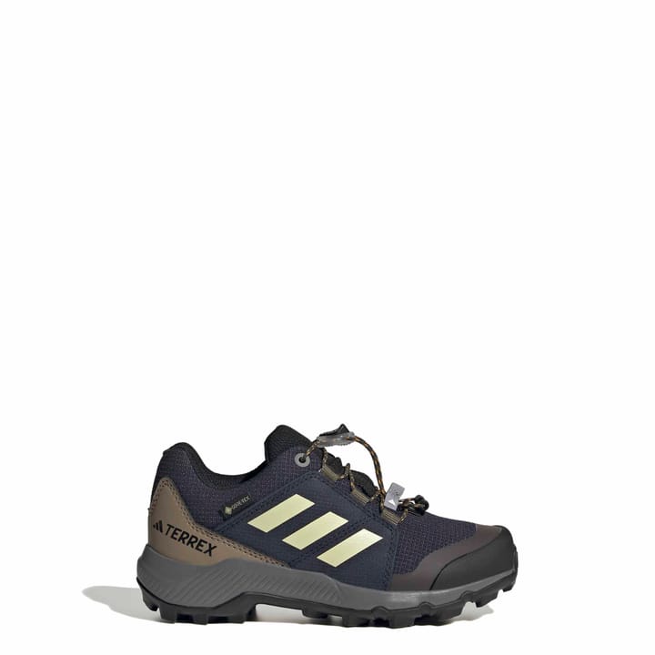 Adidas Terrex Gtx K Legink/duayel/olistr Adidas