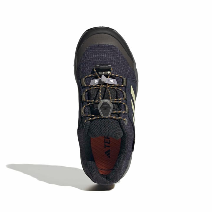 Adidas Terrex Gtx K Legink/duayel/olistr Adidas