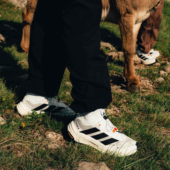 Adidas Men´sTerrex Freehiker 3 Ultra GORE-TEX Ftwwht/cblack/owhite Adidas