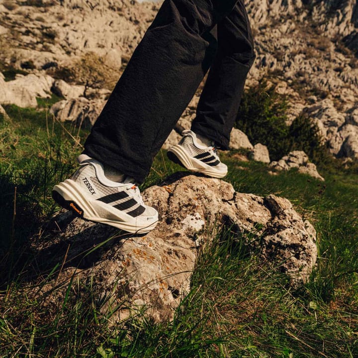 Adidas Men´s Terrex Freehiker 3 Low GORE-TEX Ftwwht/cblack/owhite Adidas