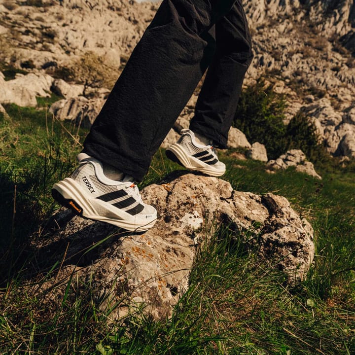 Adidas Terrex Freehiker 3 Low Gtx W Ftwwht/cblack/owhite Adidas