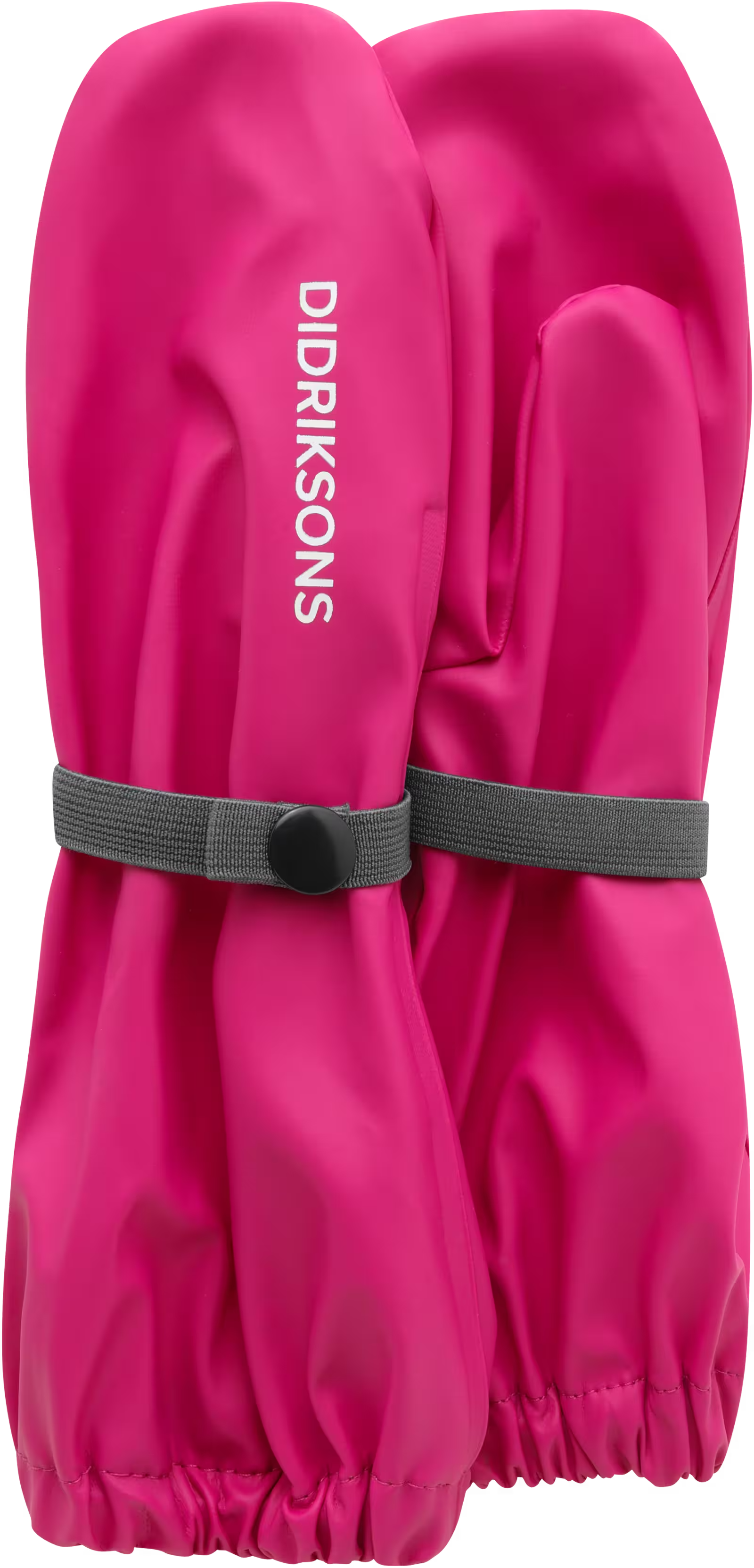 Cactus pink