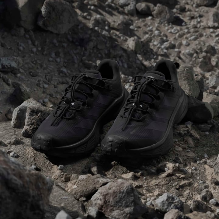 Adidas Men's Terrex Freehiker SL GORE-TEX Core black/Grey six/Grey six Adidas