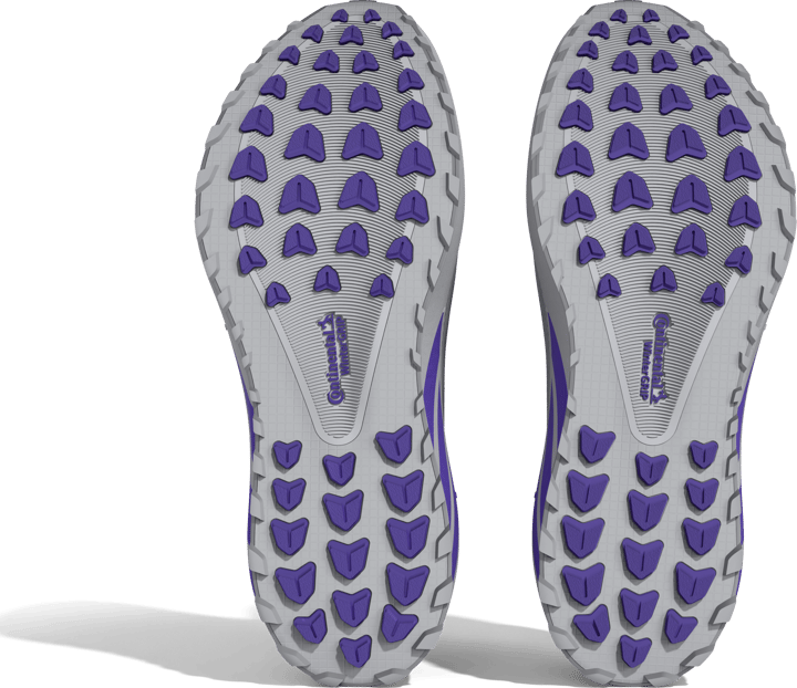 Adidas Women´s Hyperboost GORE-TEX  Lgsogr/solpur/solpur Adidas