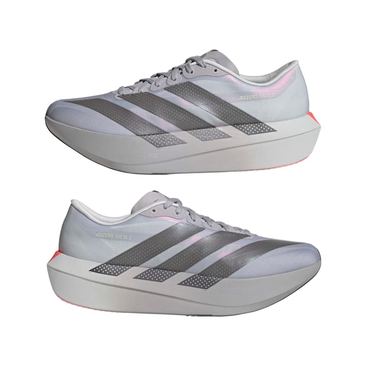 Adidas Men´s Adizero Evo SL 2 Glogry/supcol/dshgry Adidas