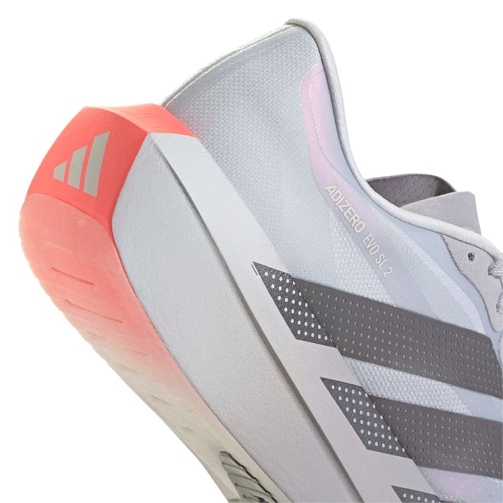 Adidas Men´s Adizero Evo SL 2 Glogry/supcol/dshgry Adidas