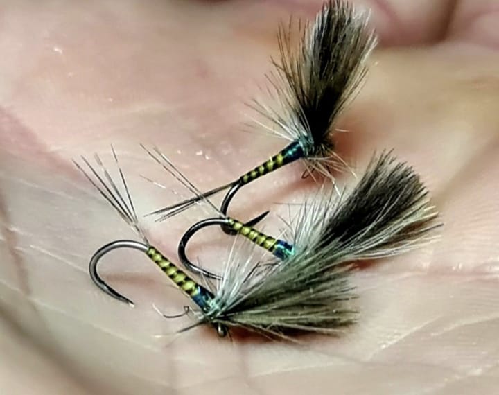 Veniard Hand Stripped Peacock Quills Veniard