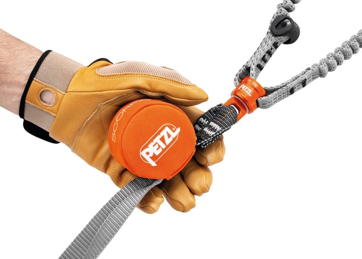 Petzl Scorpio Eashook SW Nocolour Petzl Petzl Scorpio Eashook SW Nocolour Petzl