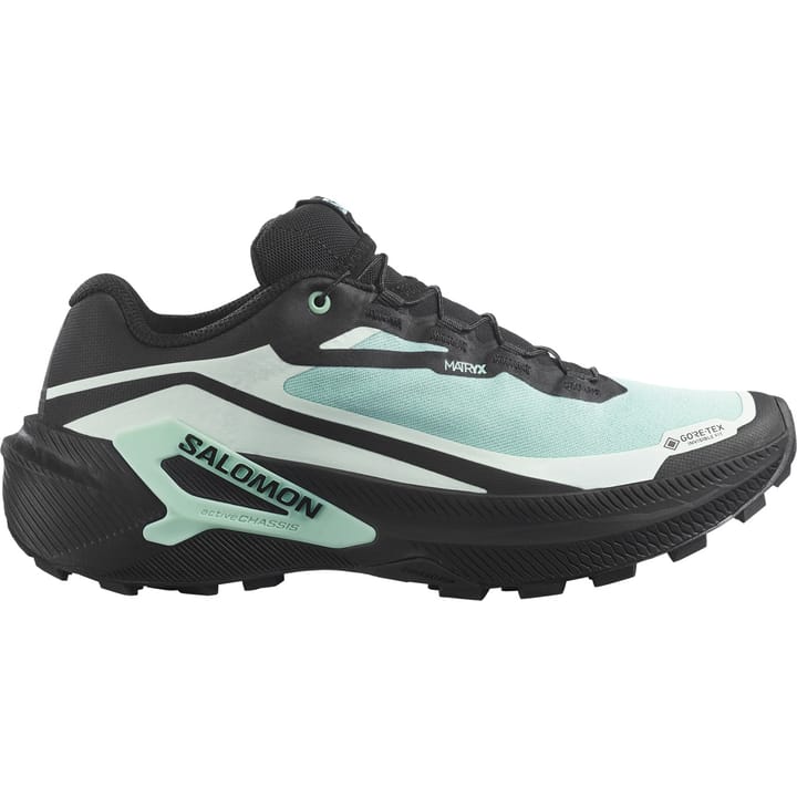 Salomon Genesis 2 Gtx W Lichen / Black / Clearly Aqua Salomon