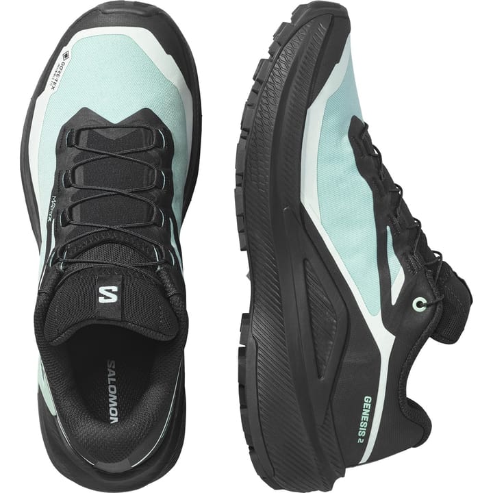 Salomon Genesis 2 Gtx W Lichen / Black / Clearly Aqua Salomon