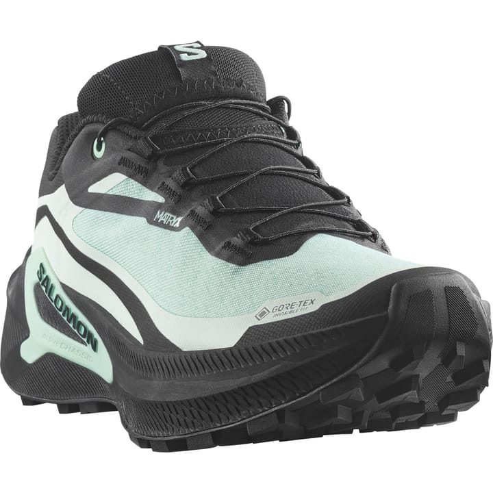 Salomon Genesis 2 Gtx W Lichen / Black / Clearly Aqua Salomon