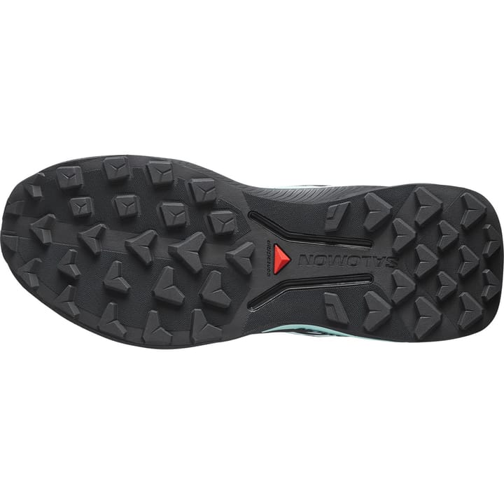 Salomon Genesis 2 Gtx W Lichen / Black / Clearly Aqua Salomon