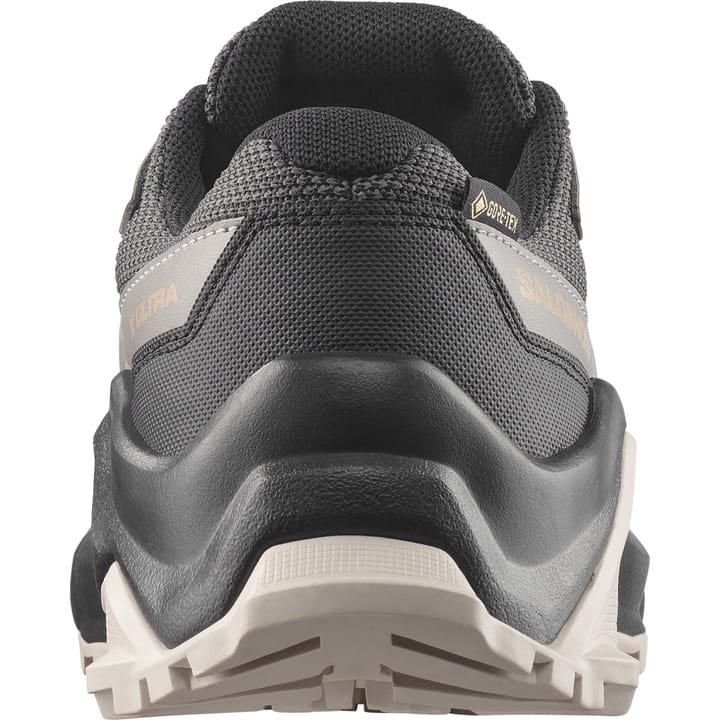 Salomon Kids' X Ultra GORE-TEX Black / Cloudburst / Silver Cloud Salomon
