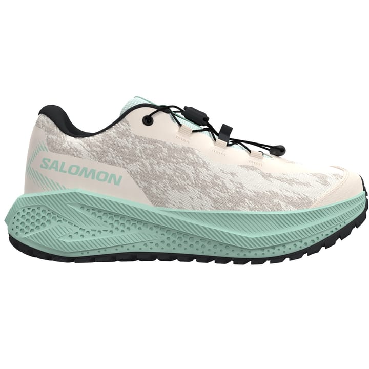 Salomon Aero Grvl J Tapioca / Lichen / Black Salomon