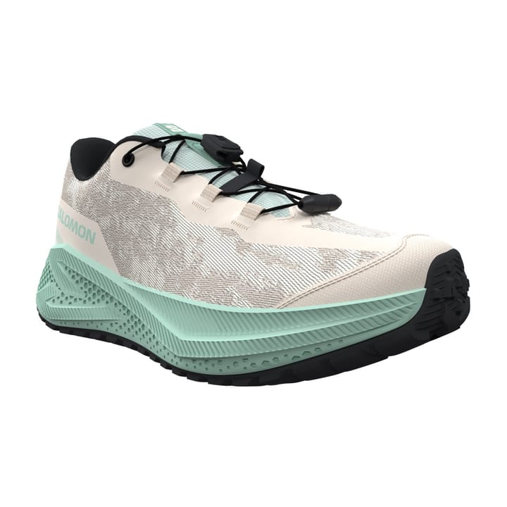 Salomon Aero Grvl J Tapioca / Lichen / Black Salomon