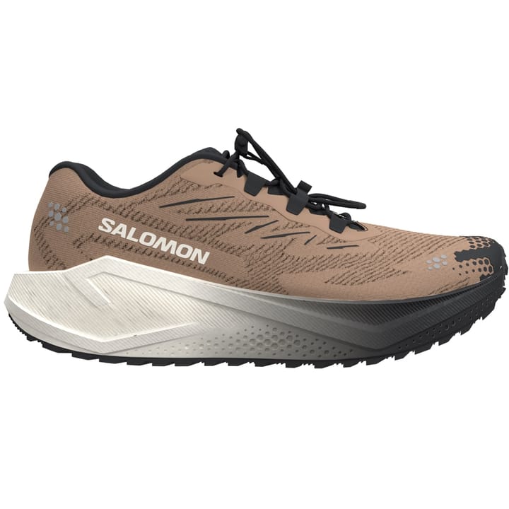 Salomon Aero Blaze 4 GRVL Burro / Vanilla Ice / Black Salomon