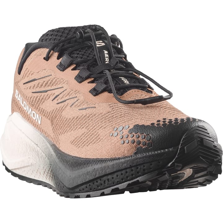 Salomon Aero Blaze 4 GRVL Burro / Vanilla Ice / Black Salomon