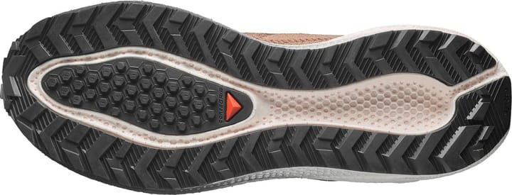 Salomon Men´s Aero Blaze 4 Grvl Burro / Vanilla Ice / Black Salomon