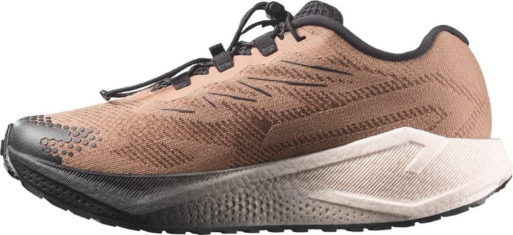 Salomon Men´s Aero Blaze 4 Grvl Burro / Vanilla Ice / Black Salomon
