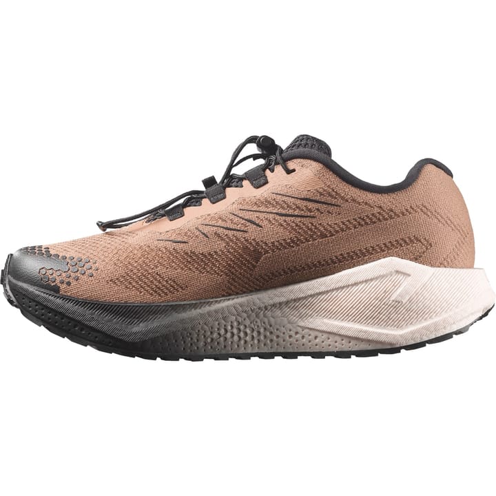 Salomon Aero Blaze 4 GRVL Burro / Vanilla Ice / Black Salomon