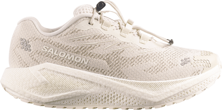 Salomon Women´s Aero Blaze 4 Grvl  Almond Milk / Vanilla Ice / Vanilla Ice Salomon
