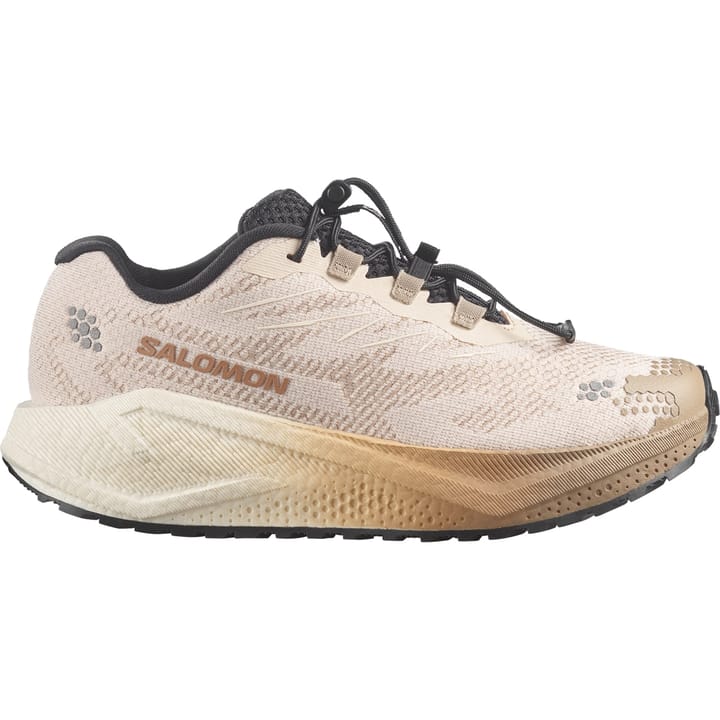 Salomon Aero Blaze 4 GRVL W Tapioca / Vanilla Ice / Black Salomon