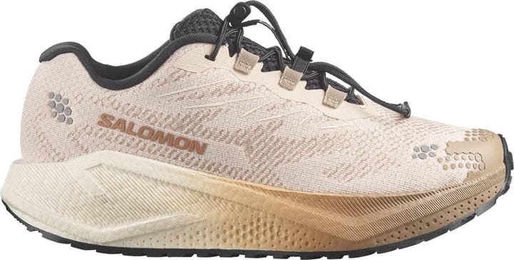 Salomon Aero Blaze 4 GRVL W Tapioca / Vanilla Ice / Black Salomon