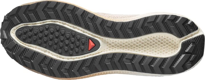 Salomon Women´s Aero Blaze 4 Grvl  Tapioca / Vanilla Ice / Black Salomon