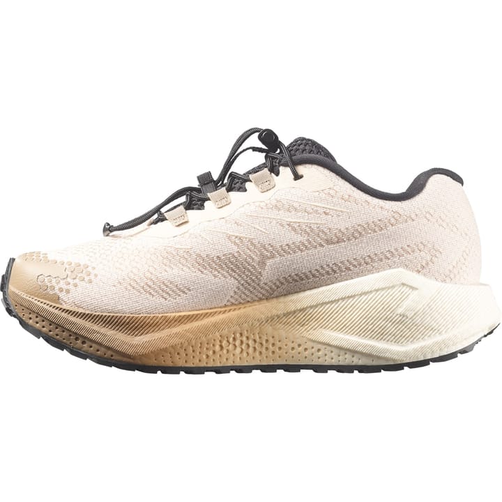 Salomon Aero Blaze 4 GRVL W Tapioca / Vanilla Ice / Black Salomon