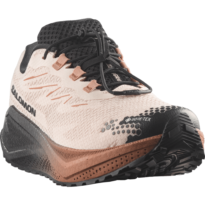 Salomon Men´s Aero Blaze 4 Grvl Gtx Vanilla Ice / Black / Burro Salomon