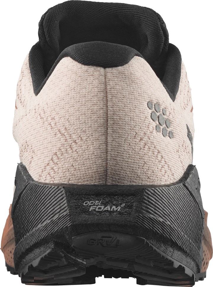 Salomon Men´s Aero Blaze 4 Grvl Gtx Vanilla Ice / Black / Burro Salomon
