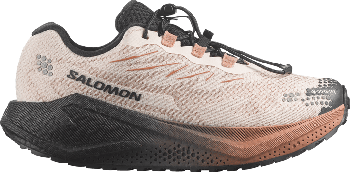Salomon Women´s Aero Blaze 4 Grvl GORE-TEX Vanilla Ice / Black / Burro Salomon