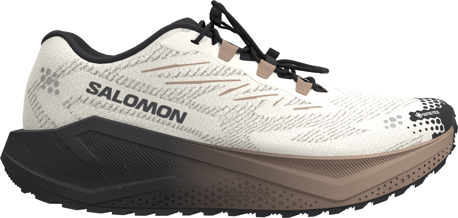 Salomon Women´s Aero Blaze 4 Grvl GORE-TEX  Vanilla Ice / Black / Burro