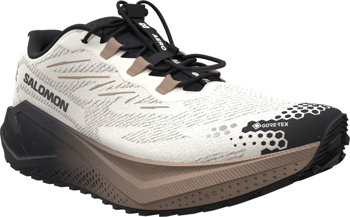 Salomon Women´s Aero Blaze 4 Grvl GORE-TEX  Vanilla Ice / Black / Burro Salomon
