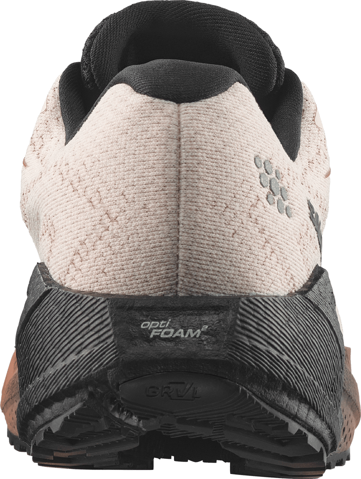 Salomon Women´s Aero Blaze 4 Grvl GORE-TEX  Vanilla Ice / Black / Burro Salomon