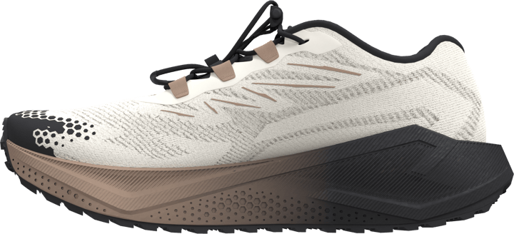 Salomon Women´s Aero Blaze 4 Grvl GORE-TEX  Vanilla Ice / Black / Burro Salomon