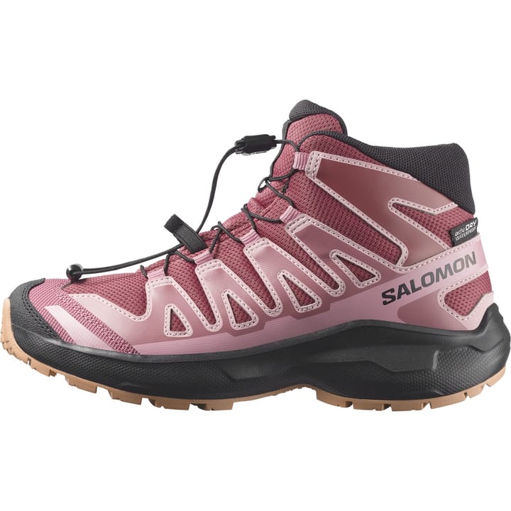 Salomon Xa Pro Mid Wp J Nocturne / Dusky Orchid / Black Salomon