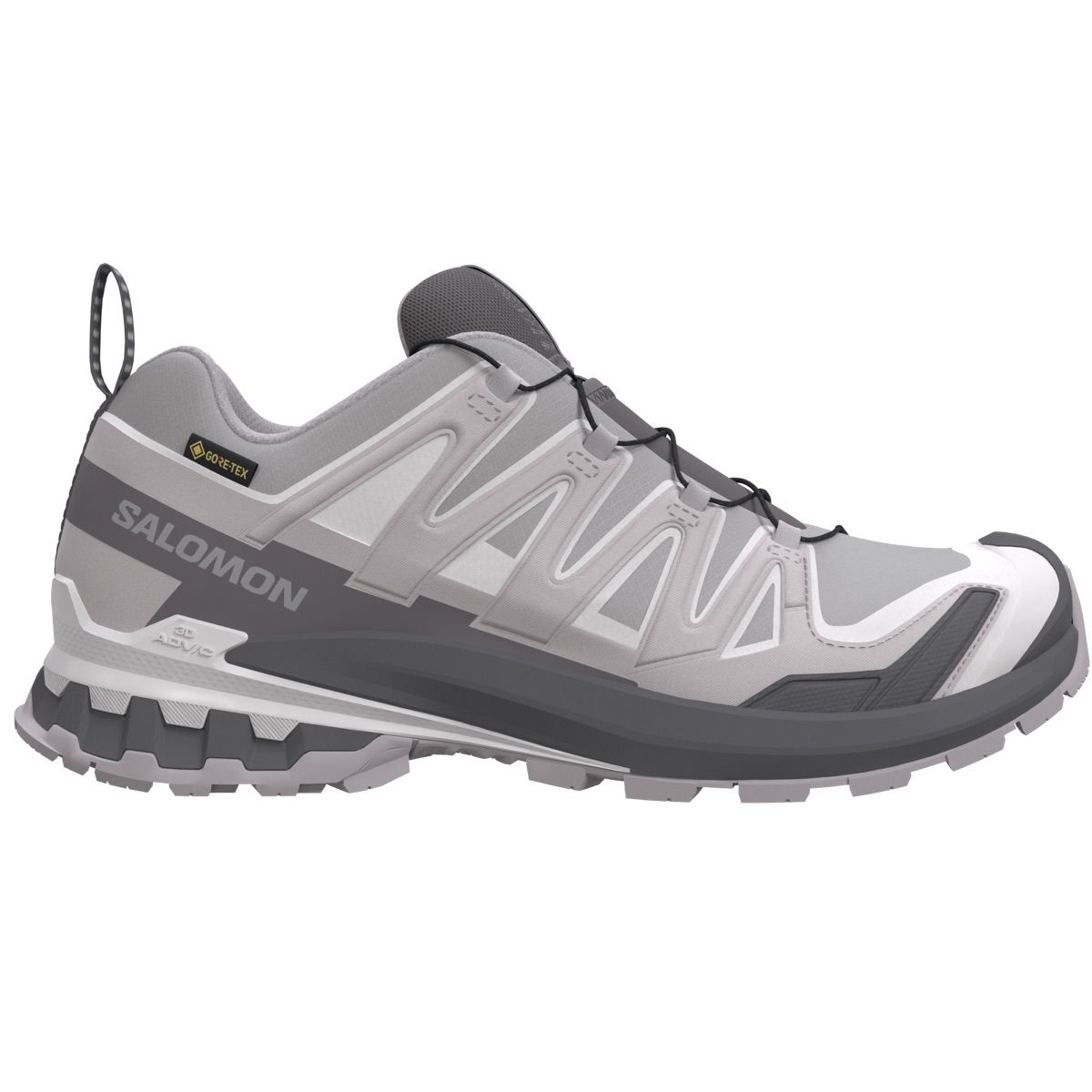 Salomon Women's XA Pro 3d V9 GORE-TEX Alloy / Castlerock / Lunar Rock