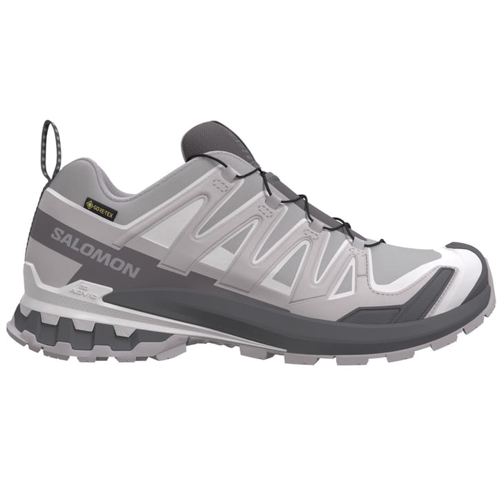 Salomon Women's XA Pro 3d V9 GORE-TEX Alloy / Castlerock / Lunar Rock Salomon