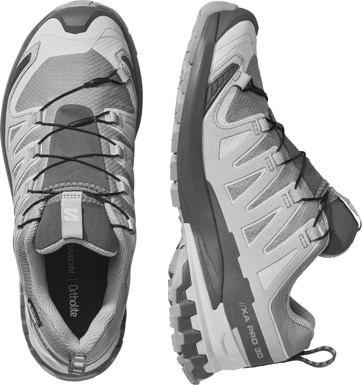 Salomon Women's XA Pro 3d V9 GORE-TEX Alloy / Castlerock / Lunar Rock Salomon