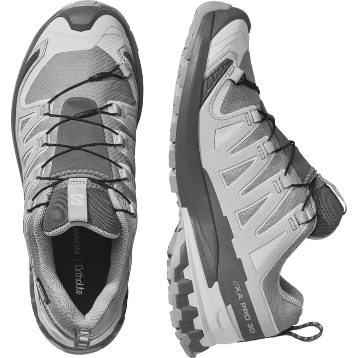 Salomon Women's XA Pro 3d V9 GORE-TEX Alloy / Castlerock / Lunar Rock Salomon