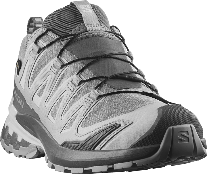 Salomon Women's XA Pro 3d V9 GORE-TEX Alloy / Castlerock / Lunar Rock Salomon