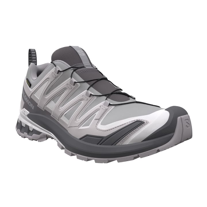 Salomon Women's XA Pro 3d V9 GORE-TEX Alloy / Castlerock / Lunar Rock Salomon
