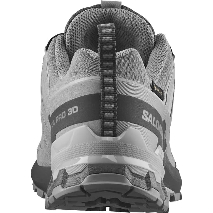 Salomon Women's XA Pro 3d V9 GORE-TEX Alloy / Castlerock / Lunar Rock Salomon