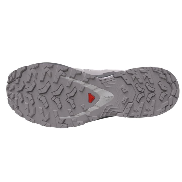 Salomon Women's XA Pro 3d V9 GORE-TEX Alloy / Castlerock / Lunar Rock Salomon