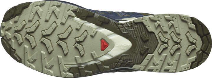 Salomon Men's XA Pro 3D V9 India Ink/Olive Night/Aloe Wash Salomon