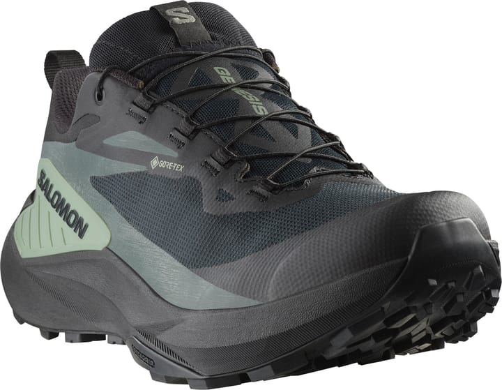 Salomon Men's Genesis GORE-TEX Black/Agave Green/Urban Chic Salomon