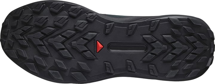 Salomon Men's Genesis GORE-TEX Black/Agave Green/Urban Chic Salomon